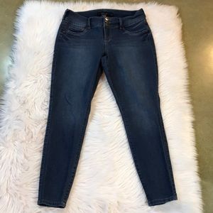 Torrid Skinny Jeans